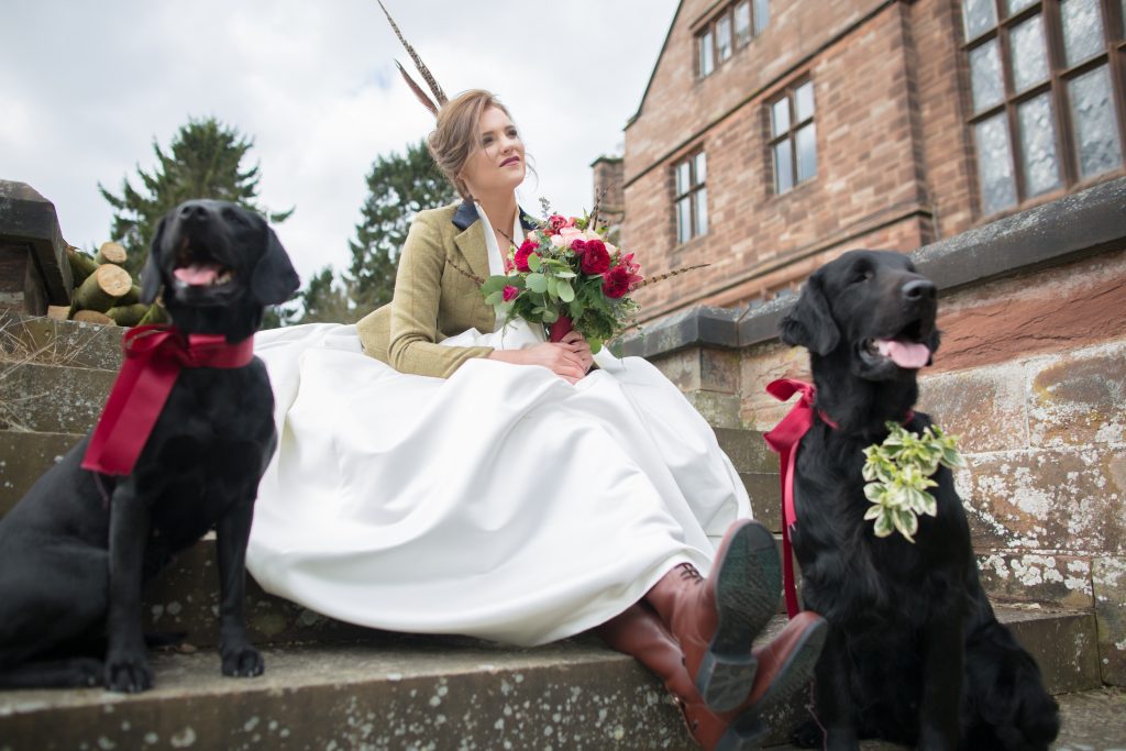 Photo of bride with two dogs at outside Standon Hall, Staffordshire