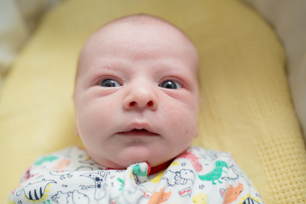 newborn baby portrait