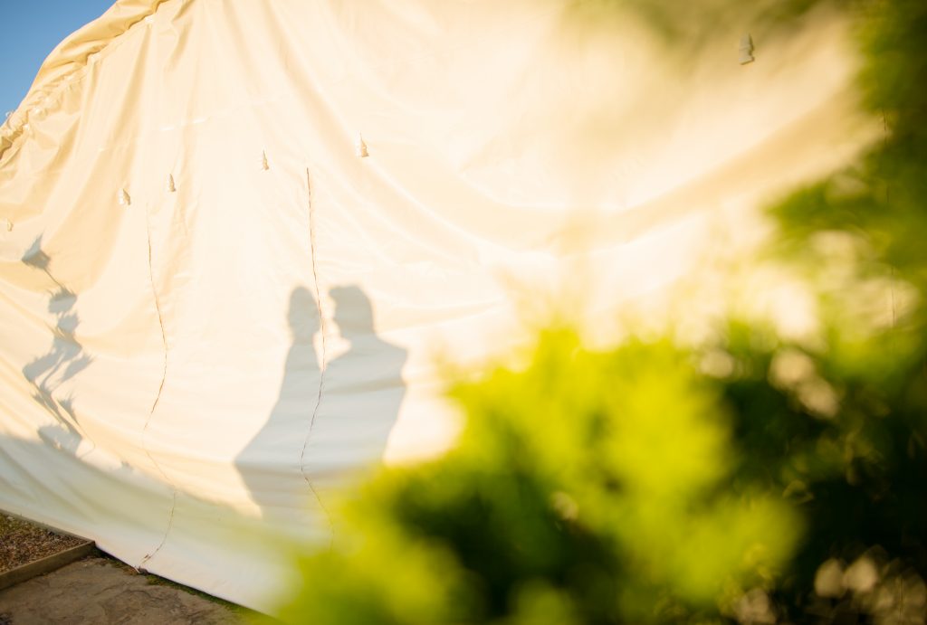 photo of shadow of couple on wedding day