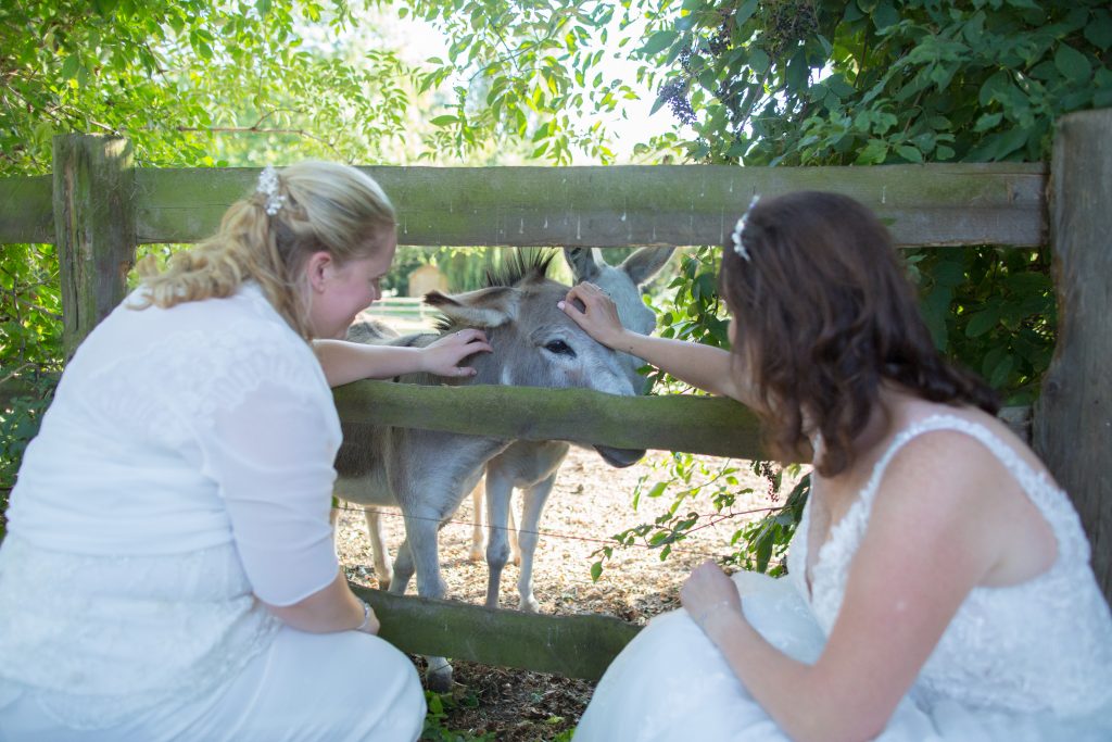 two brides petting a donkey